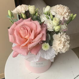 Blanche flowers на Композиторов