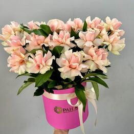 Orange Flowers