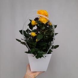 Buket - dekor