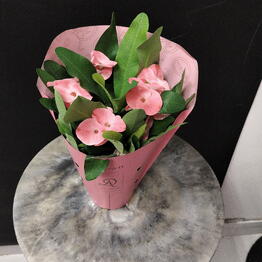 Flover Ess