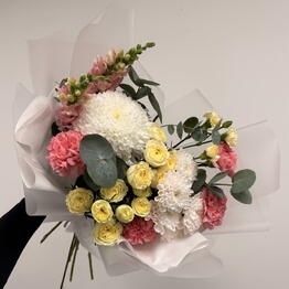 Viol botanical 
