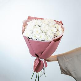 IL-FIORE