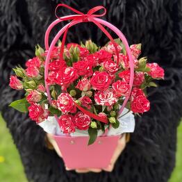 Magic Flowers 