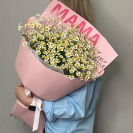 Florideya 