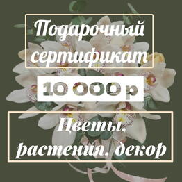 Подарочный сертификат на покупку, Букетов, Растений, Декора