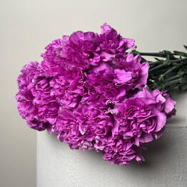 WEST FLORA EXPORT (пачками)