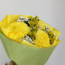 Maksi Flora