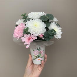 Нимфея Flowers
