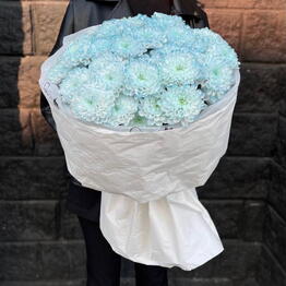 City Flowers
