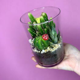 Флорариум Кактусы 🌵