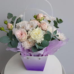 Pion Pionych premium