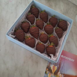 MANE_CHOCOLATE