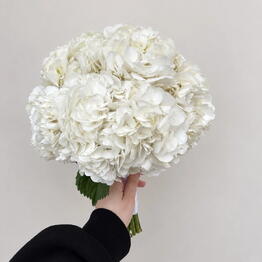 Hey, Flower!