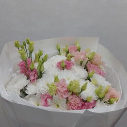Fiori Silvestri