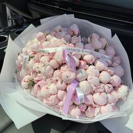 Lovely flowers