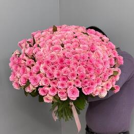 Розовые розы 151 штука WOW ЭФФЕКТ