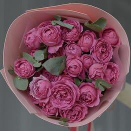 Tülpan flowers