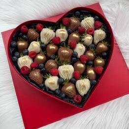 FRESA CHOCOLATE