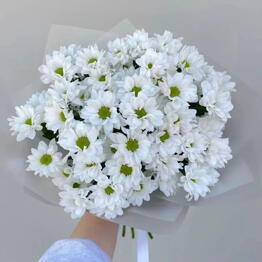 Алые букеты