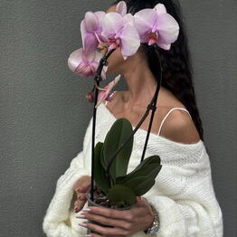 Botanee by