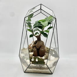 plants.nsk&kashpo_gorshok