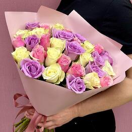31 нежная роза