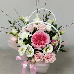 Fiore Lily spb