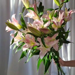 SELENA flowers