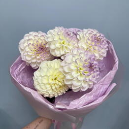 BAMBINI FLOWERS