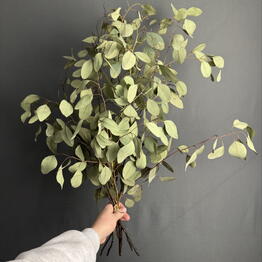 EFlowers