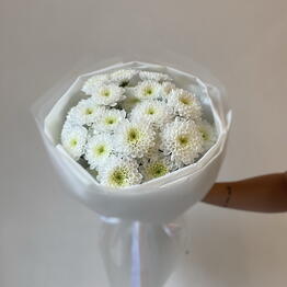 Eto_po_lyubvi.House flowers.