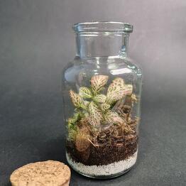 Flora-Glass