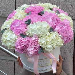 Buzina Flowers 