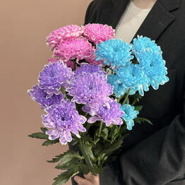 ЗЕФИРкО