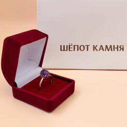 ShYoPOT KAMNYa L.Omland