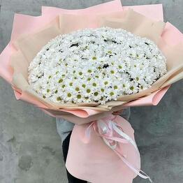 51 Chrysanthemum bouquet giant