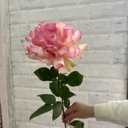 Flower Fancy x Juznoe Butovo