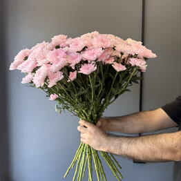 Sofia Flowers