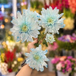M. Flowers