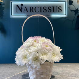 NARCISSUS