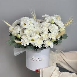 ANMI