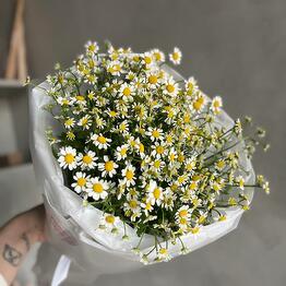 Fancy Flowers