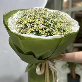 Premium Flowers