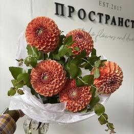 Пространство🌸