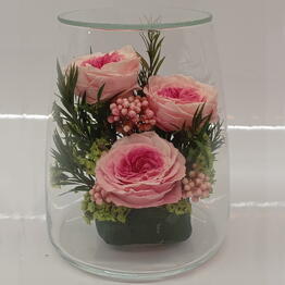 Натуральные кустовые пионы в стекле, вакуум (RF2.5550db)