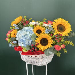 M&S Flowers