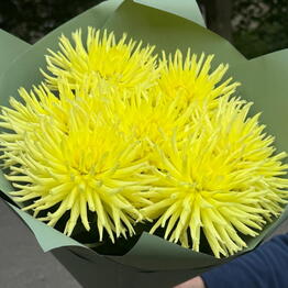 Garden Flowers