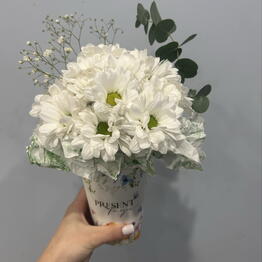 FlorSeason