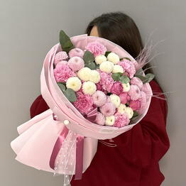 PION