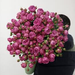 AnyRose